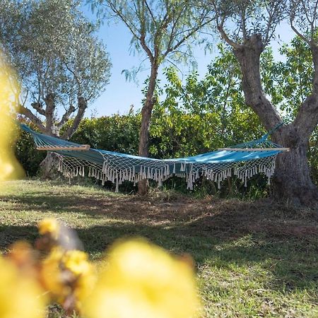 Quinta Do Gato Preto Vila Silves Exterior foto